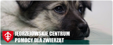 Jędrzejowskie Centrum Pomocy dla Zwierząt - Jędrzejowskie Bezdomniaki